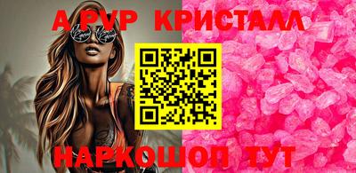 стафф Будённовск
