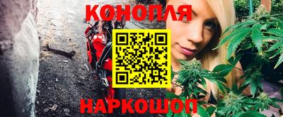 стафф Будённовск